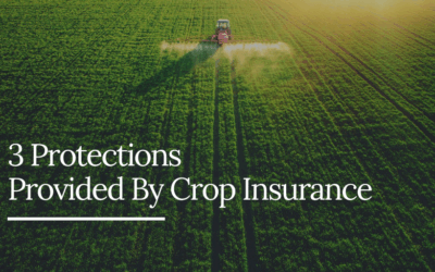 3 Protections Provided By Crop Insurance