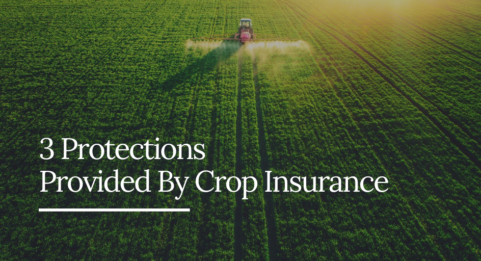 3 Protections Provided By Crop Insurance